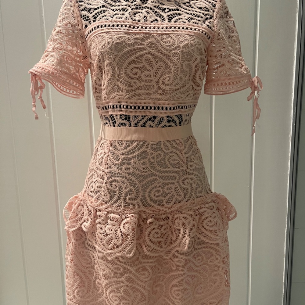 Self-Portrait Pink Lace Dress - Picture 2 of 9